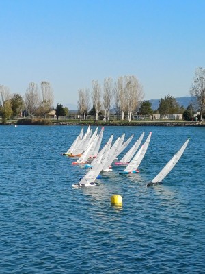 IMG-20241102-WA0003.jpg